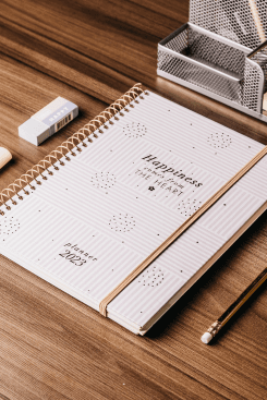 Guided study programme